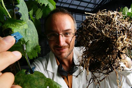 stefano mancuso con piante e terra