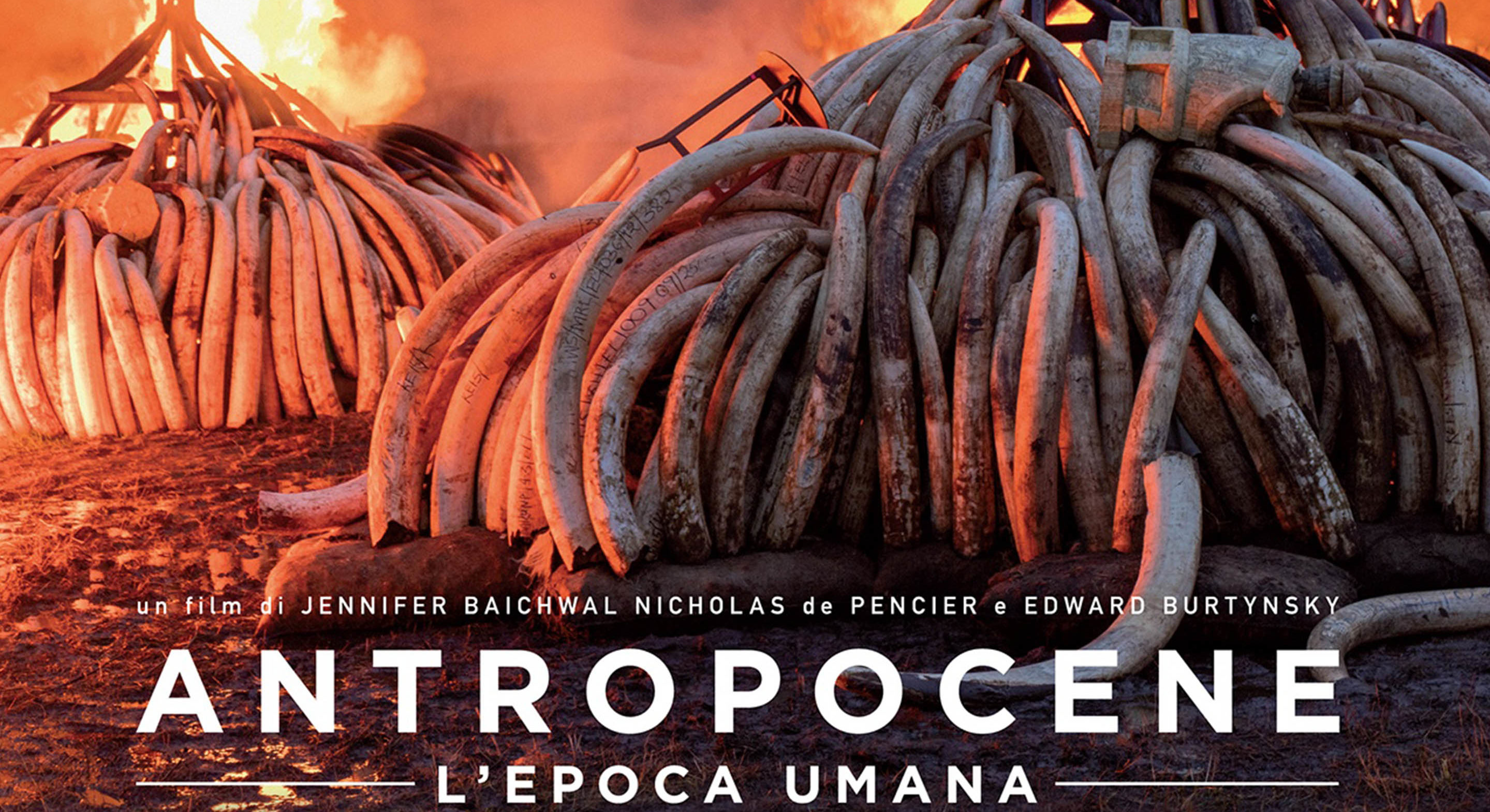 locandina docufilm antropocene l'epoca umana